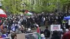 'US Congress, Senate, Universities Have No Solution For Pro-Palestine Protest: Ex- Indian Ambassador
